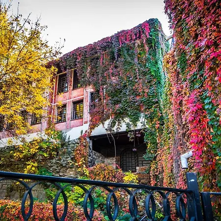Business - Location Plovdiv